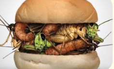 Tomorrow's Menu: Lab Meat, Insects, and Beyond Lab-grown meat, edible insects and 3D-printed chocolate are closer to your plate than you might think. With regulators now assessing these new foods for supermarket shelves, will any of it actually catch on?