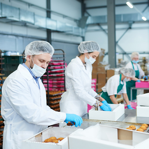 workers in a bakery packaging cookies in white boxes with safety gear in a clean environment 2 bakers preparing 2 boxes