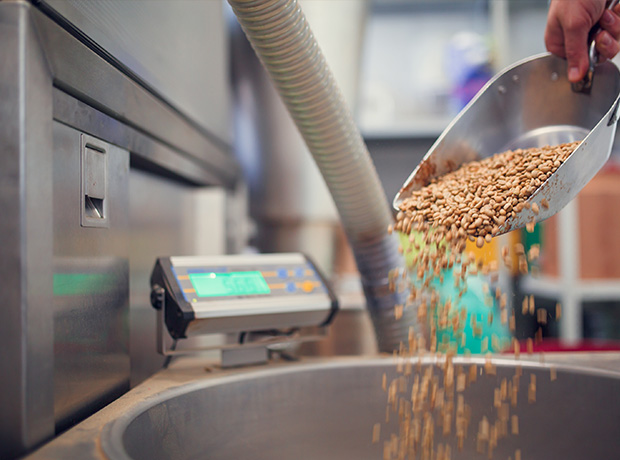 a person pouring roasted coffee beans into a large container with a scale displaying a digital readout proper measurement for roasting coffee beans 2 steps in the process